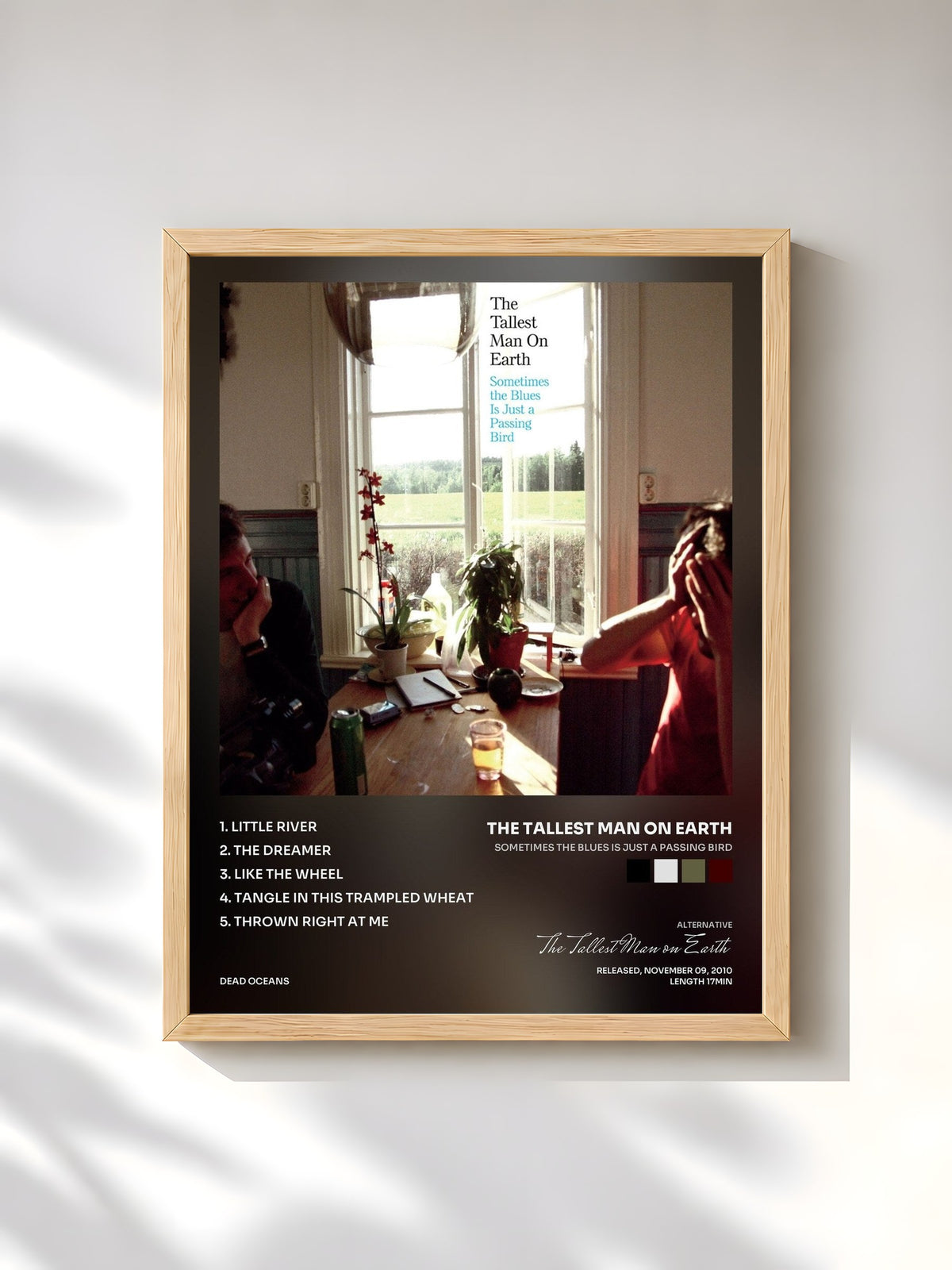 #bois Tableau de l'album Sometimes The Blues Is Just A Passing Bird de The Tallest Man on Earth, cadre en bois brut, imprimé et encadré en France