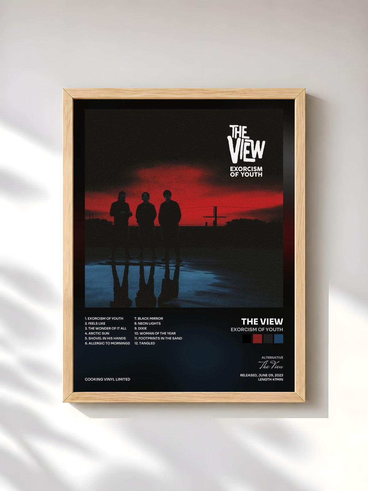 #bois Tableau de l'album Exorcism of Youth de The View, cadre en bois brut, imprimé et encadré en France