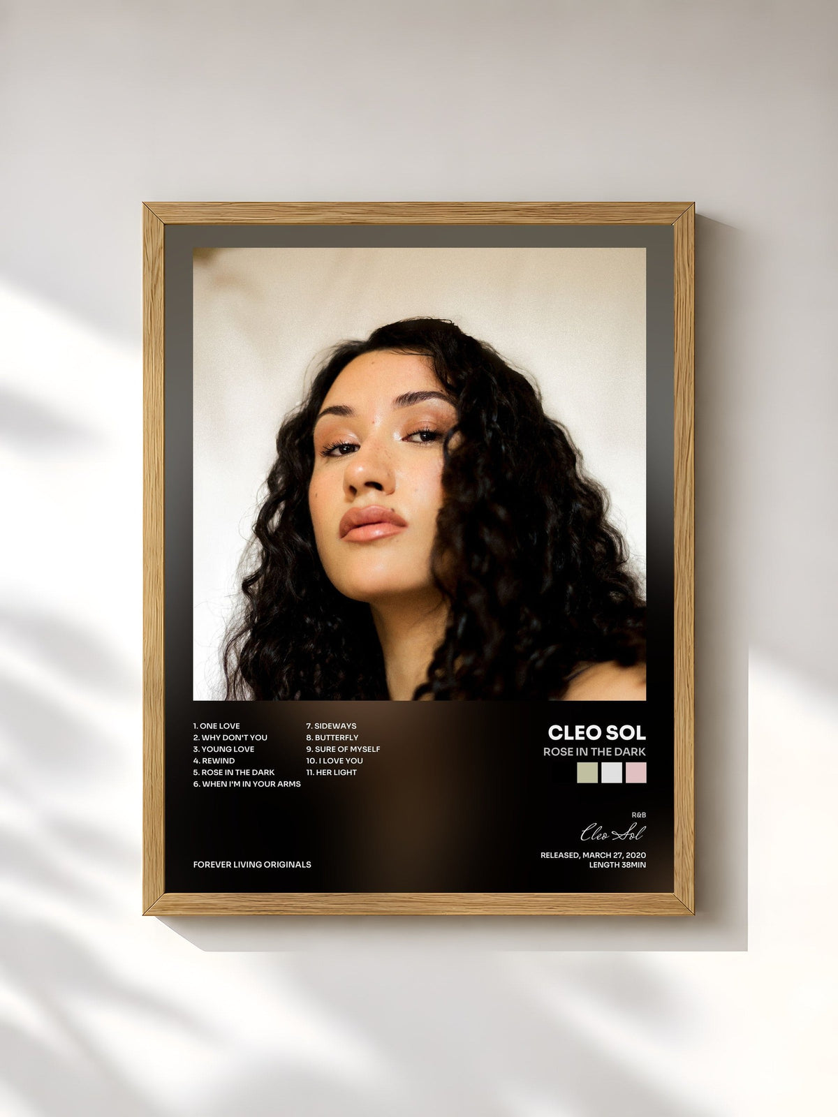 #bois Tableau de l'album Rose in the Dark de Cleo Sol, cadre en bois brut, imprimé et encadré en France