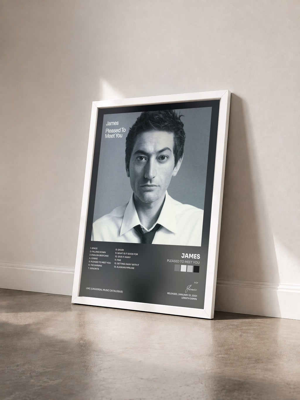#blanc Tableau de l'album Pleased To Meet You de James vu de trois quarts, cadre blanc
