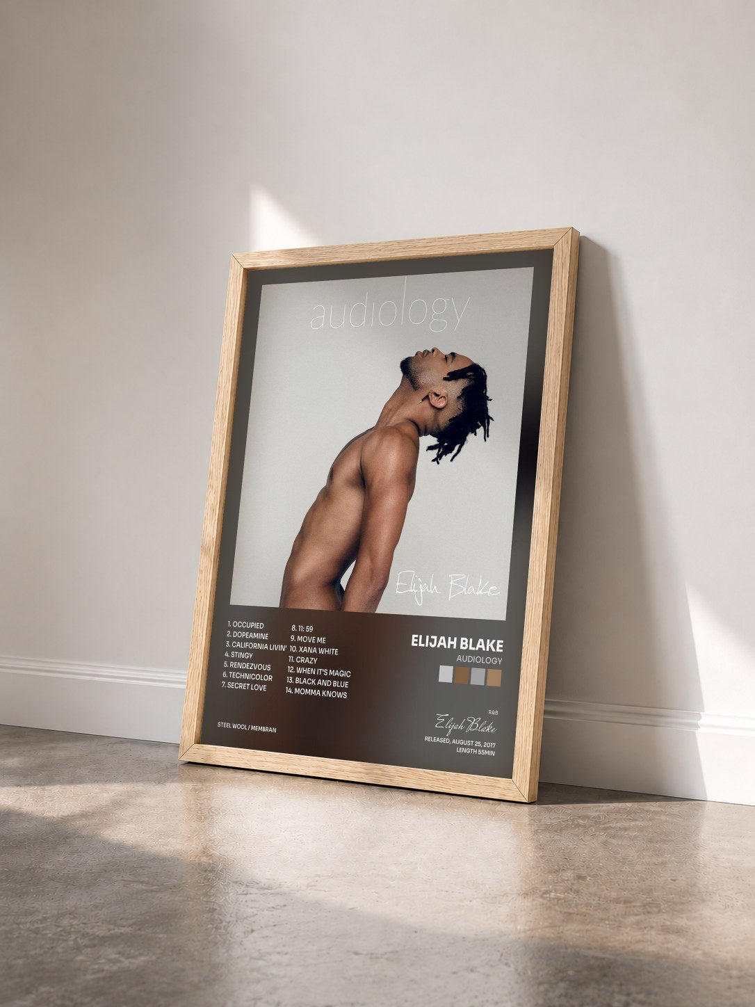 #bois Tableau de l'album Audiology de Elijah Blake vu de trois quarts, cadre en bois brut