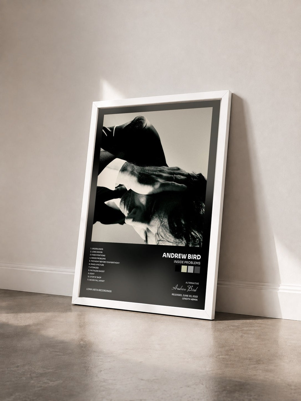 #blanc Tableau de l'album Inside Problems de Andrew Bird vu de trois quarts, cadre blanc