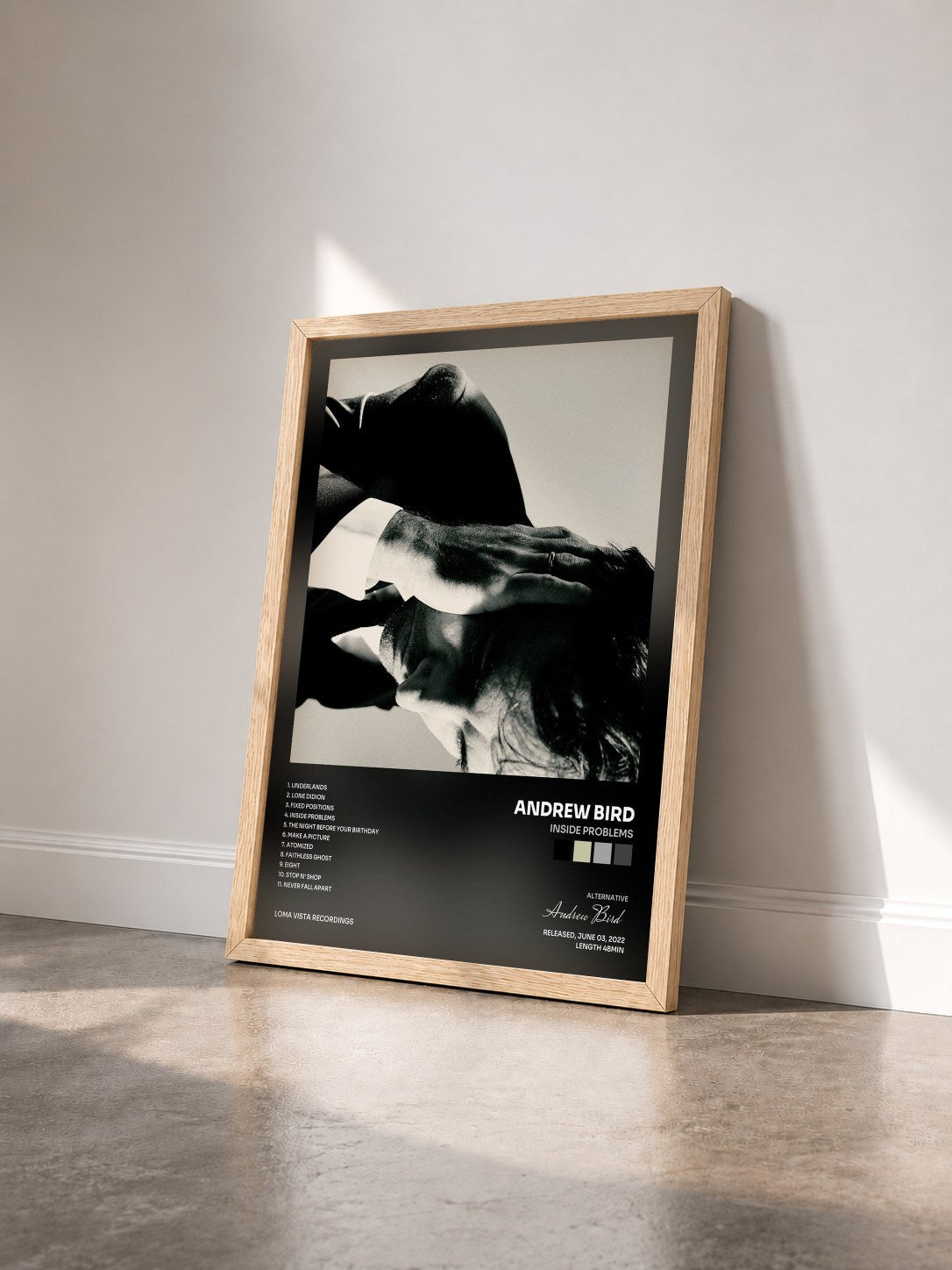 #bois Tableau de l'album Inside Problems de Andrew Bird vu de trois quarts, cadre en bois brut