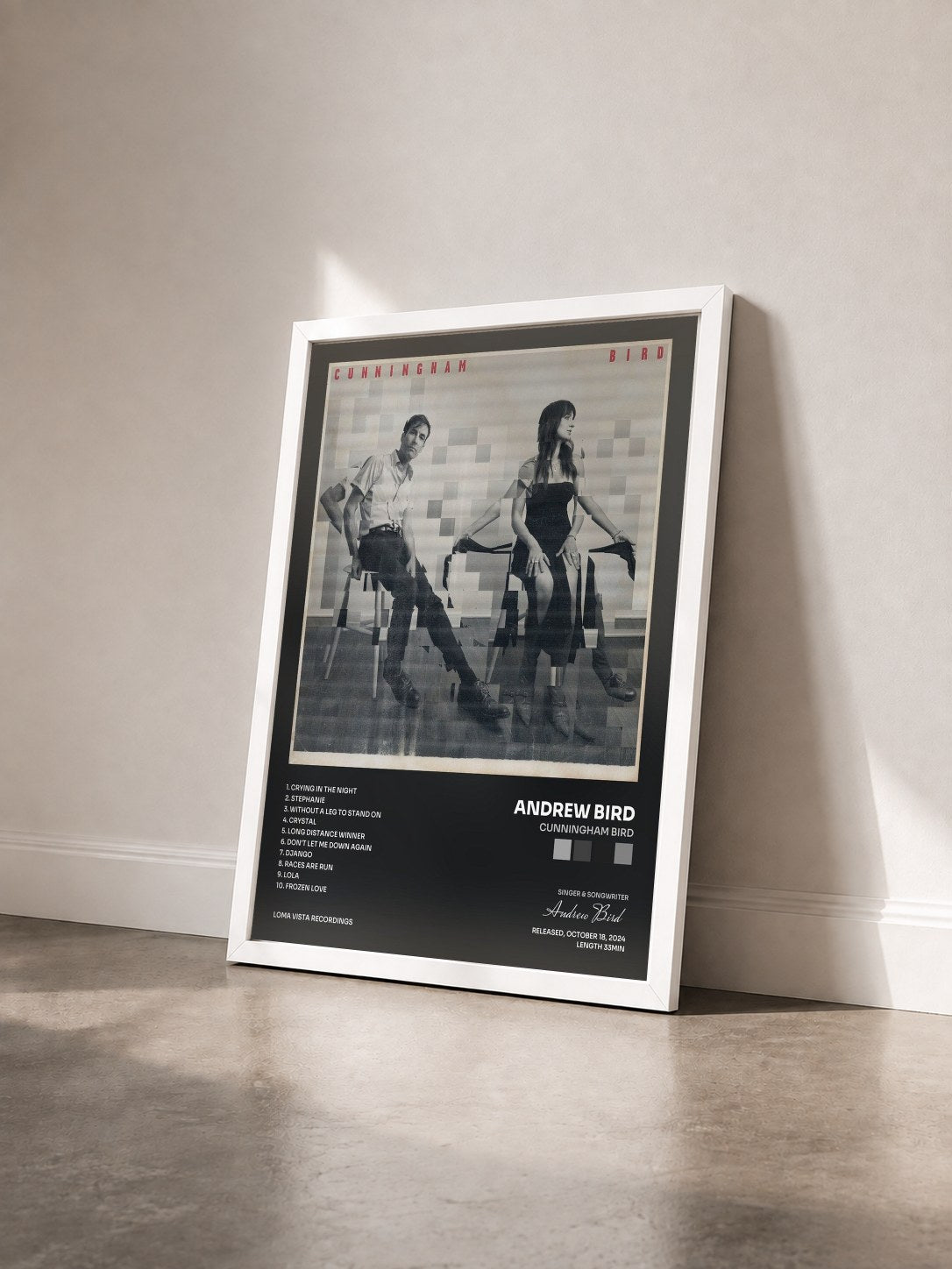 #blanc Tableau de l'album Cunningham Bird de Andrew Bird vu de trois quarts, cadre blanc