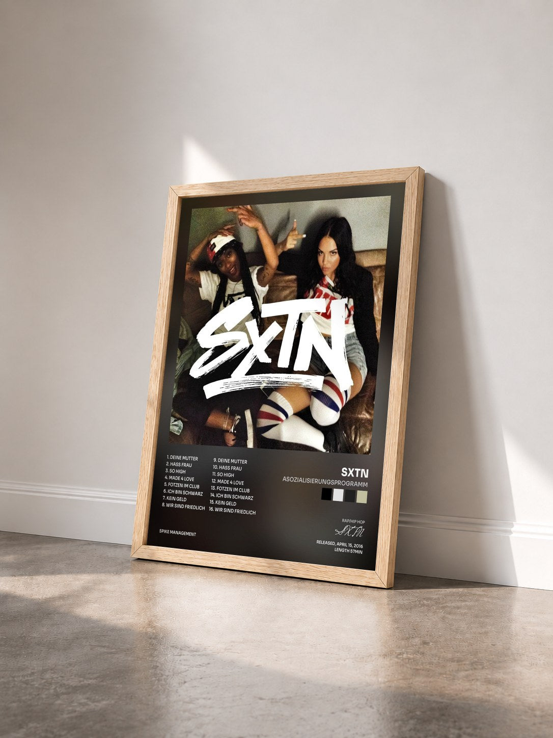 #bois Tableau de l'album Asozialisierungsprogramm de SXTN vu de trois quarts, cadre en bois brut