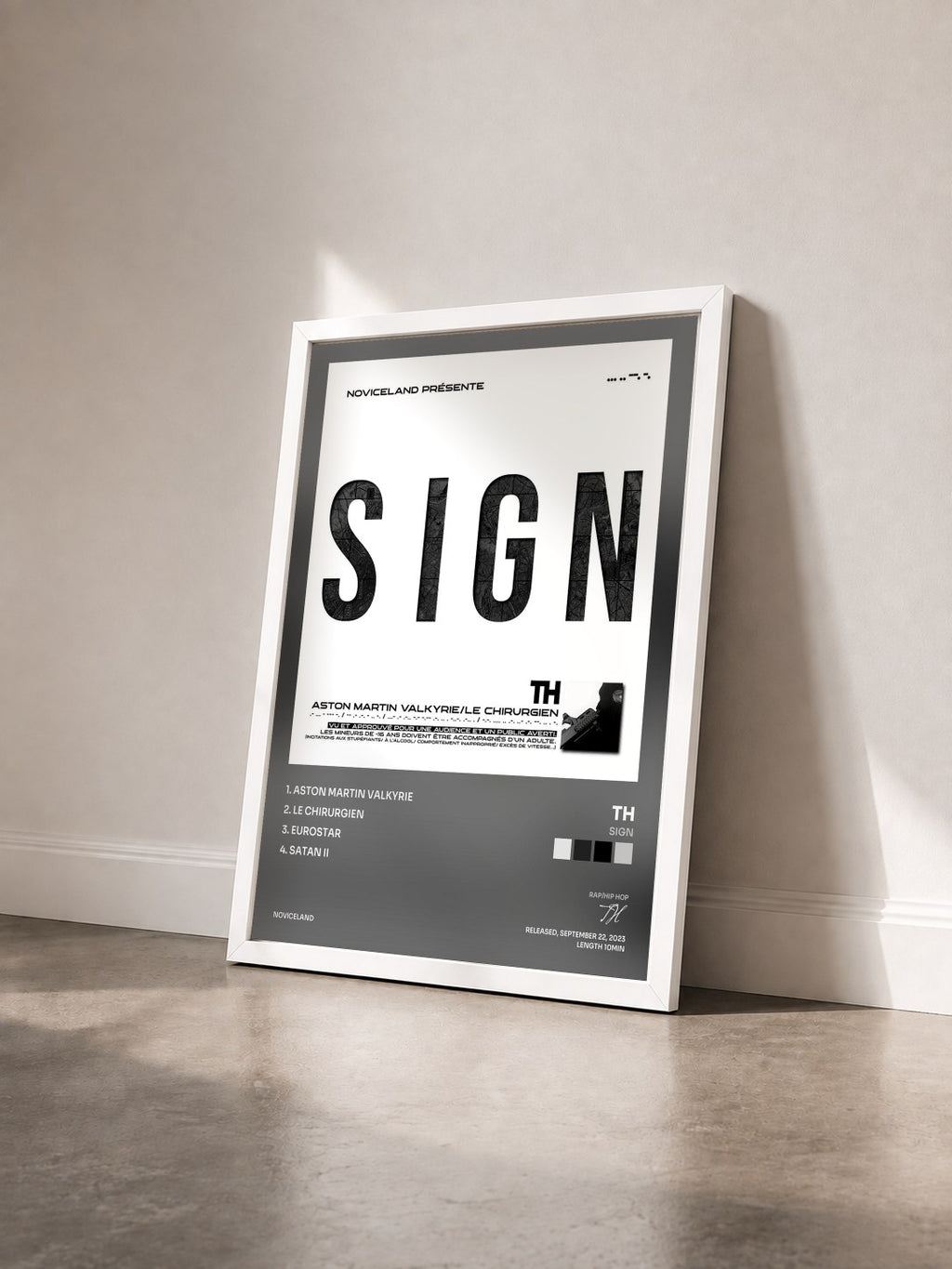#blanc Tableau de l'album SIGN de TH vu de trois quarts, cadre blanc