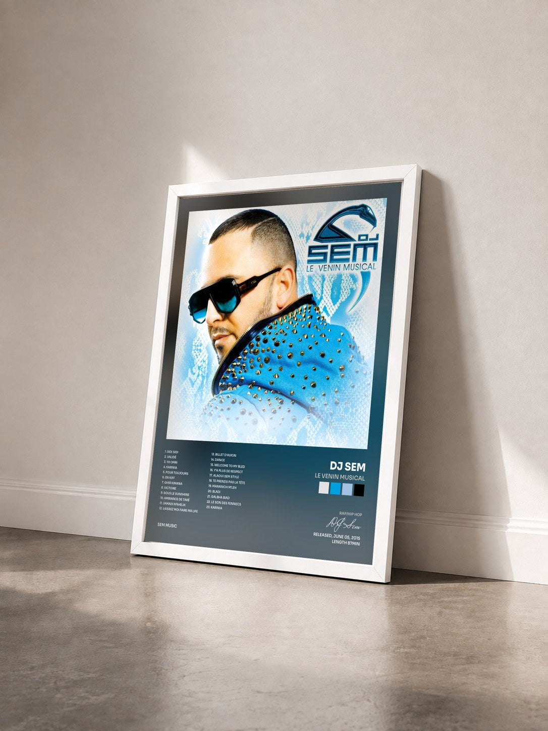 #blanc Tableau de l'album Le venin musical de DJ Sem vu de trois quarts, cadre blanc