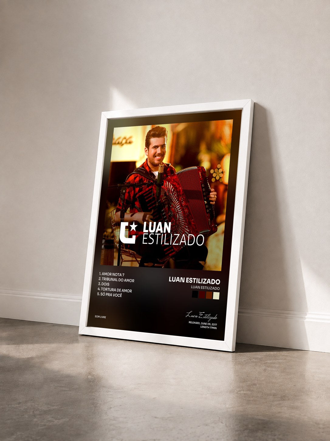 #blanc Tableau de l'album Luan Estilizado de Luan Estilizado vu de trois quarts, cadre blanc