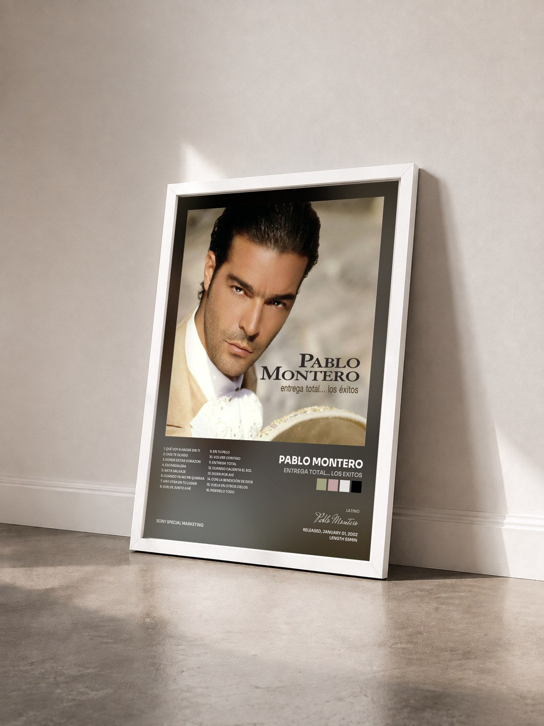 #blanc Tableau de l'album Entrega Total... Los Exitos de Pablo Montero vu de trois quarts, cadre blanc