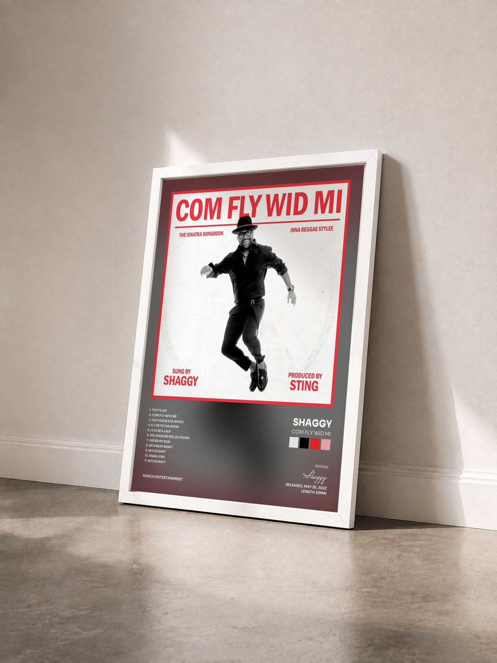 #blanc Tableau de l'album Com Fly Wid Mi de Shaggy vu de trois quarts, cadre blanc