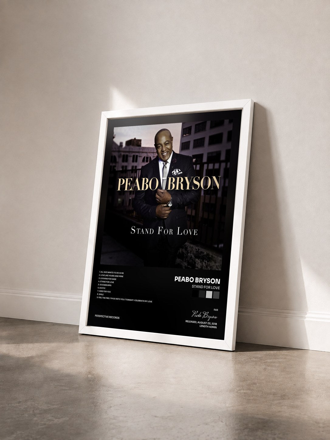 #blanc Tableau de l'album Stand For Love de Peabo Bryson vu de trois quarts, cadre blanc