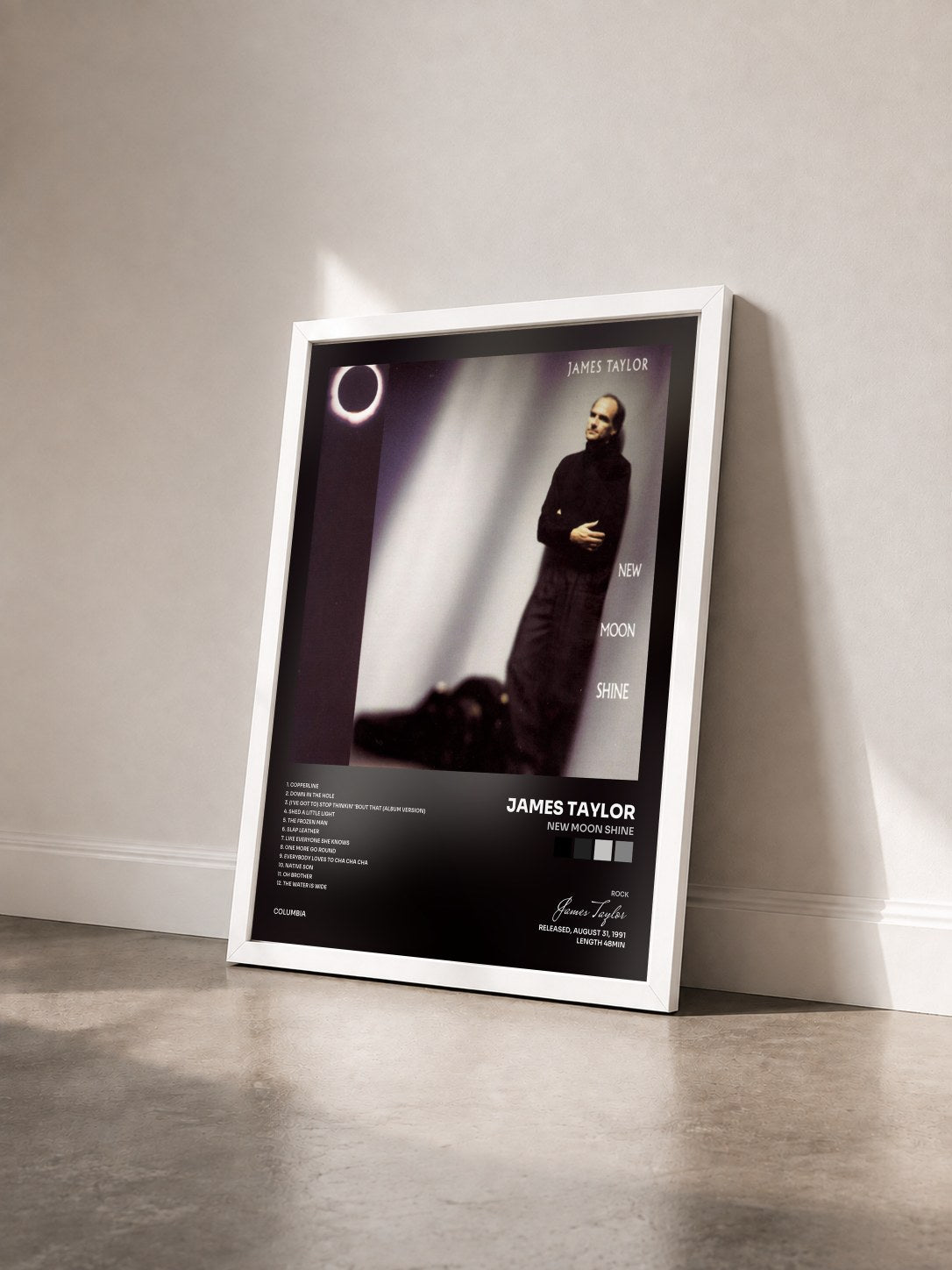#blanc Tableau de l'album New Moon Shine de James Taylor vu de trois quarts, cadre blanc
