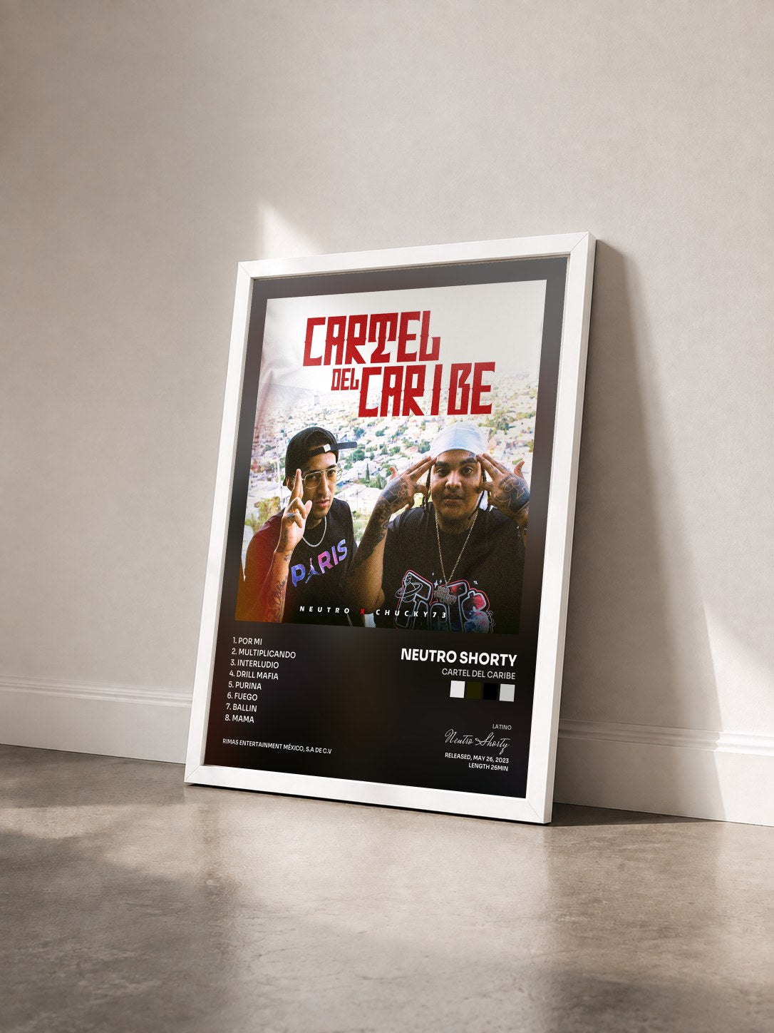 #blanc Tableau de l'album Cartel del Caribe de Neutro Shorty vu de trois quarts, cadre blanc