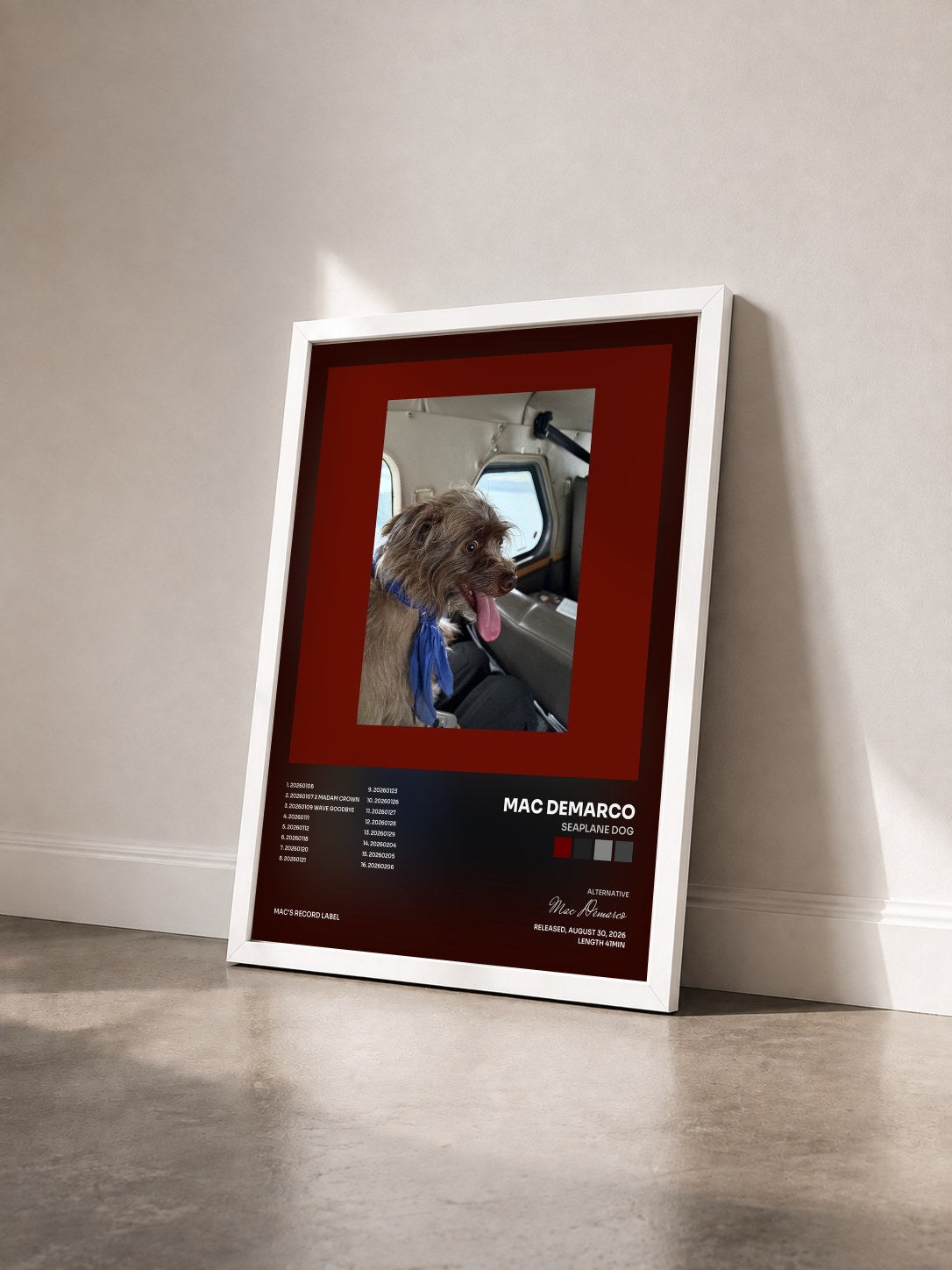 #blanc Tableau de l'album Seaplane Dog de Mac Demarco vu de trois quarts, cadre blanc
