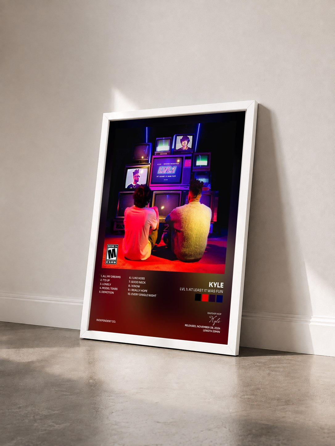 #blanc Tableau de l'album Lvl 1: At Least It Was Fun de Kyle vu de trois quarts, cadre blanc