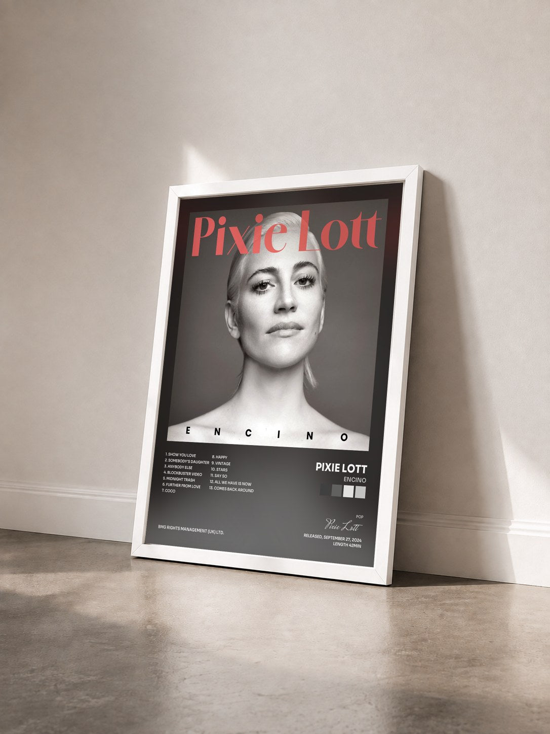 #blanc Tableau de l'album Encino de Pixie Lott vu de trois quarts, cadre blanc