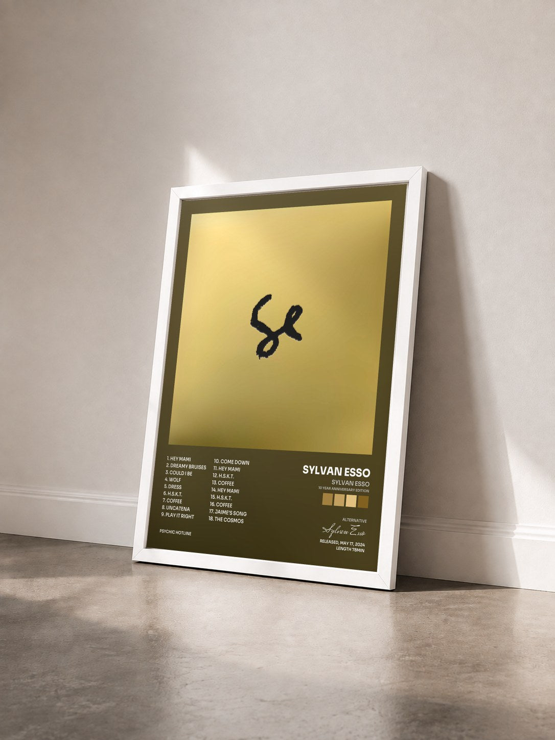 #blanc Tableau de l'album Sylvan Esso (10 Year Anniversary Edition) de Sylvan Esso vu de trois quarts, cadre blanc