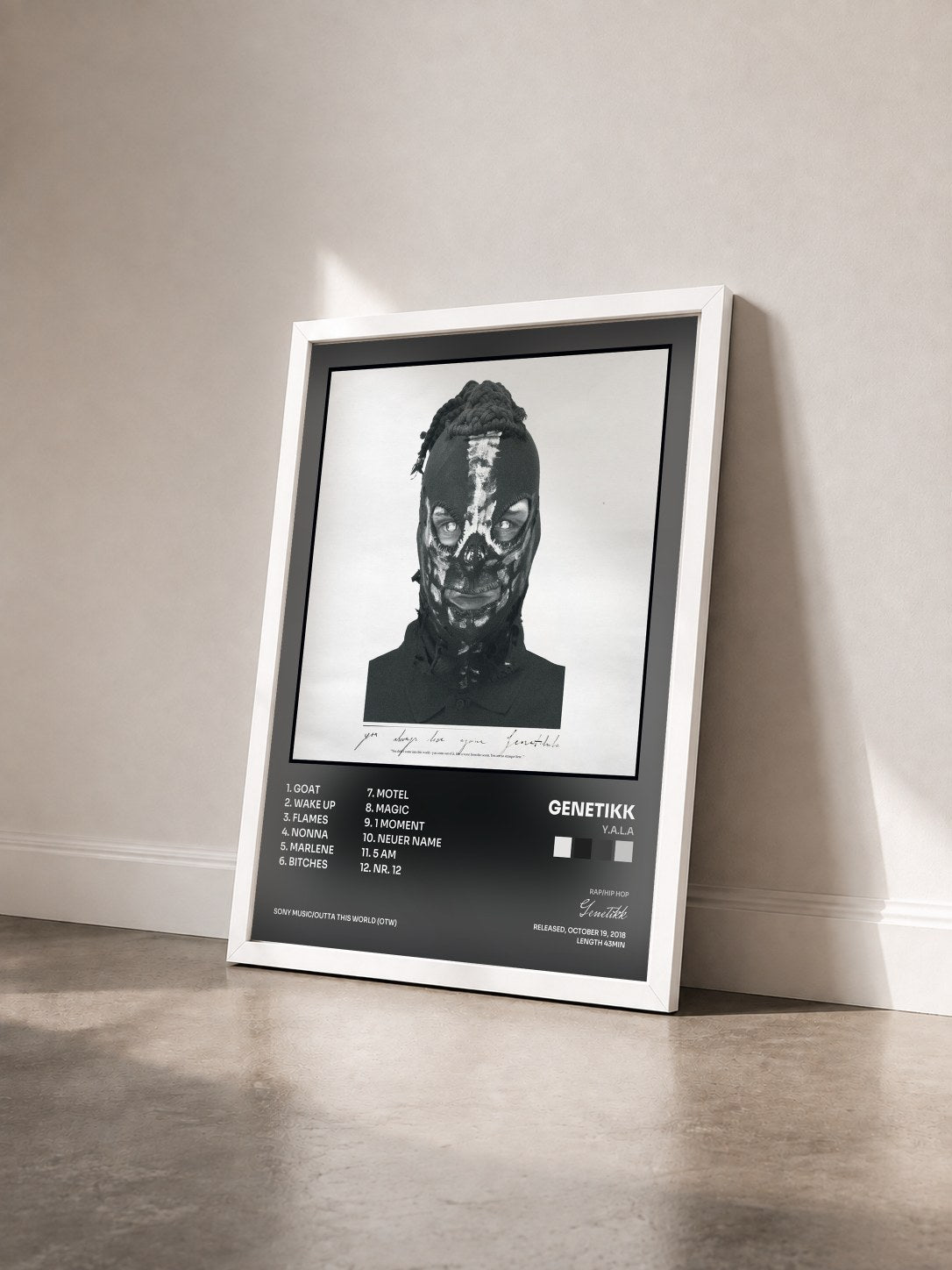 #blanc Tableau de l'album Y.A.L.A de Genetikk vu de trois quarts, cadre blanc