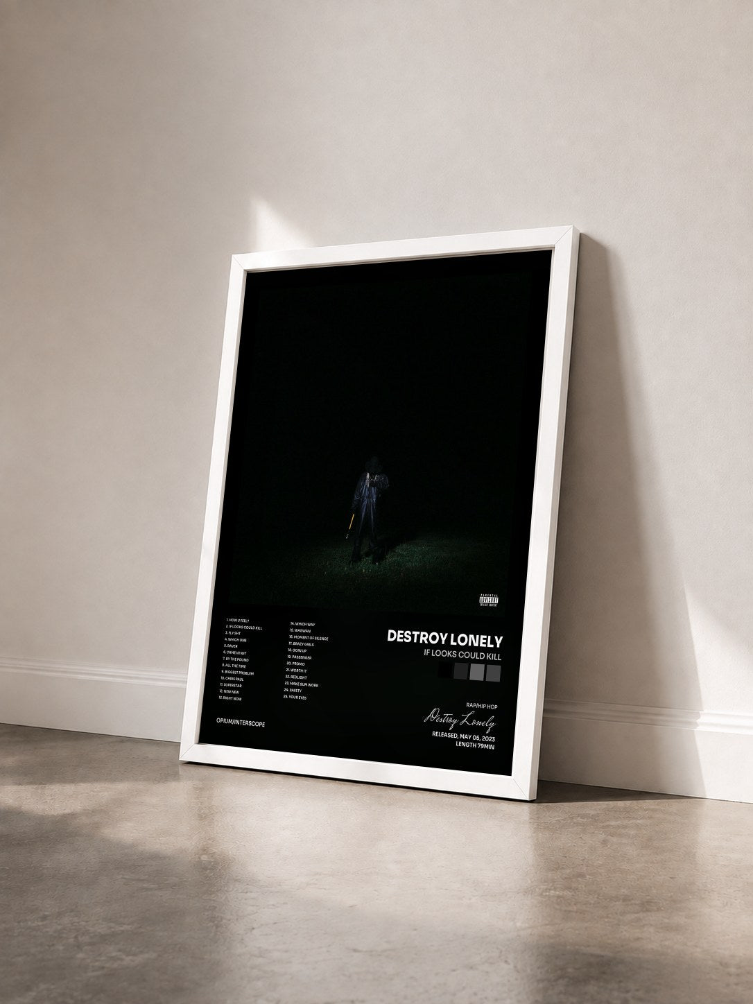 #blanc Tableau de l'album If Looks Could Kill de Destroy Lonely vu de trois quarts, cadre blanc
