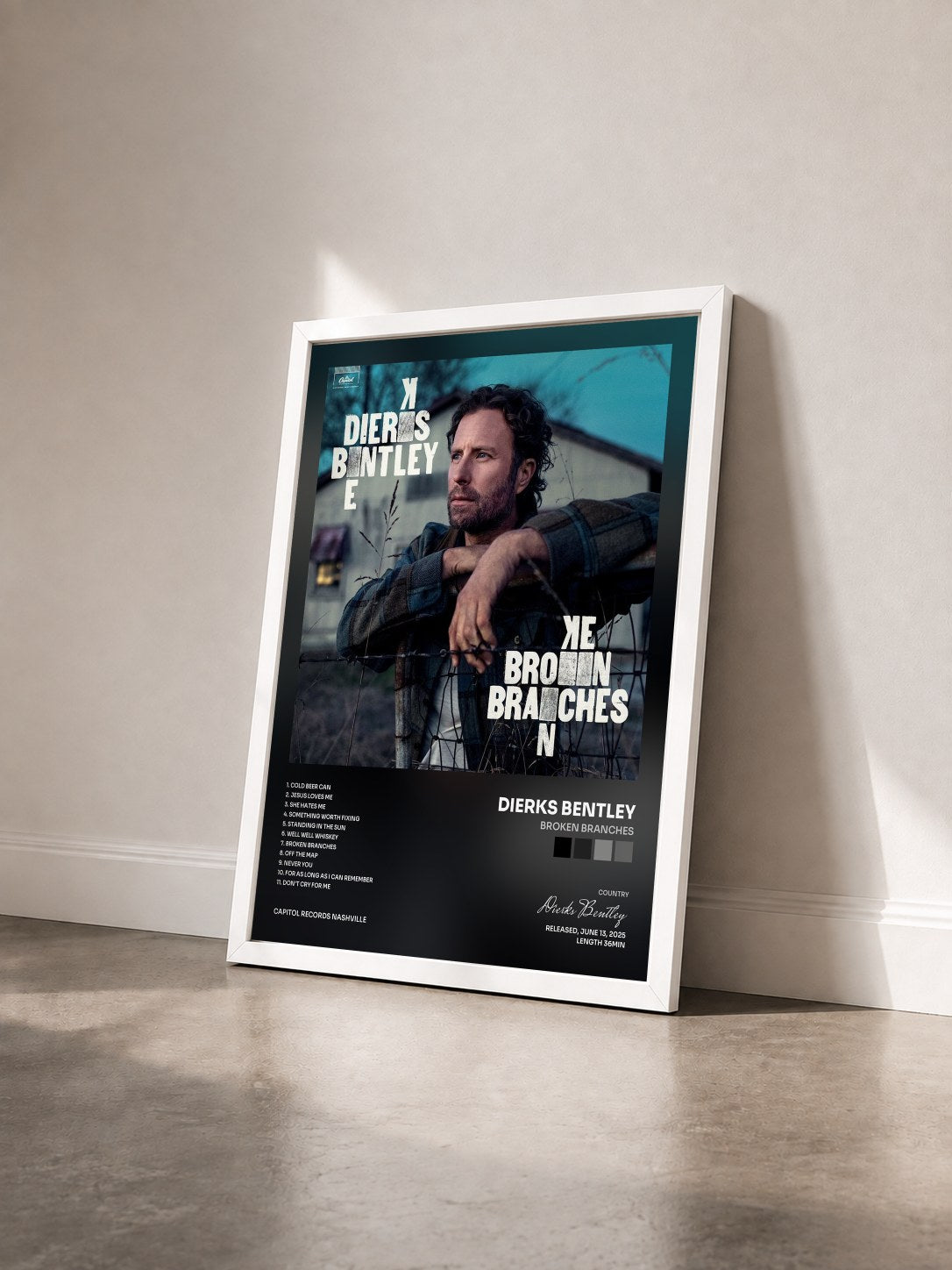#blanc Tableau de l'album Broken Branches de Dierks Bentley vu de trois quarts, cadre blanc