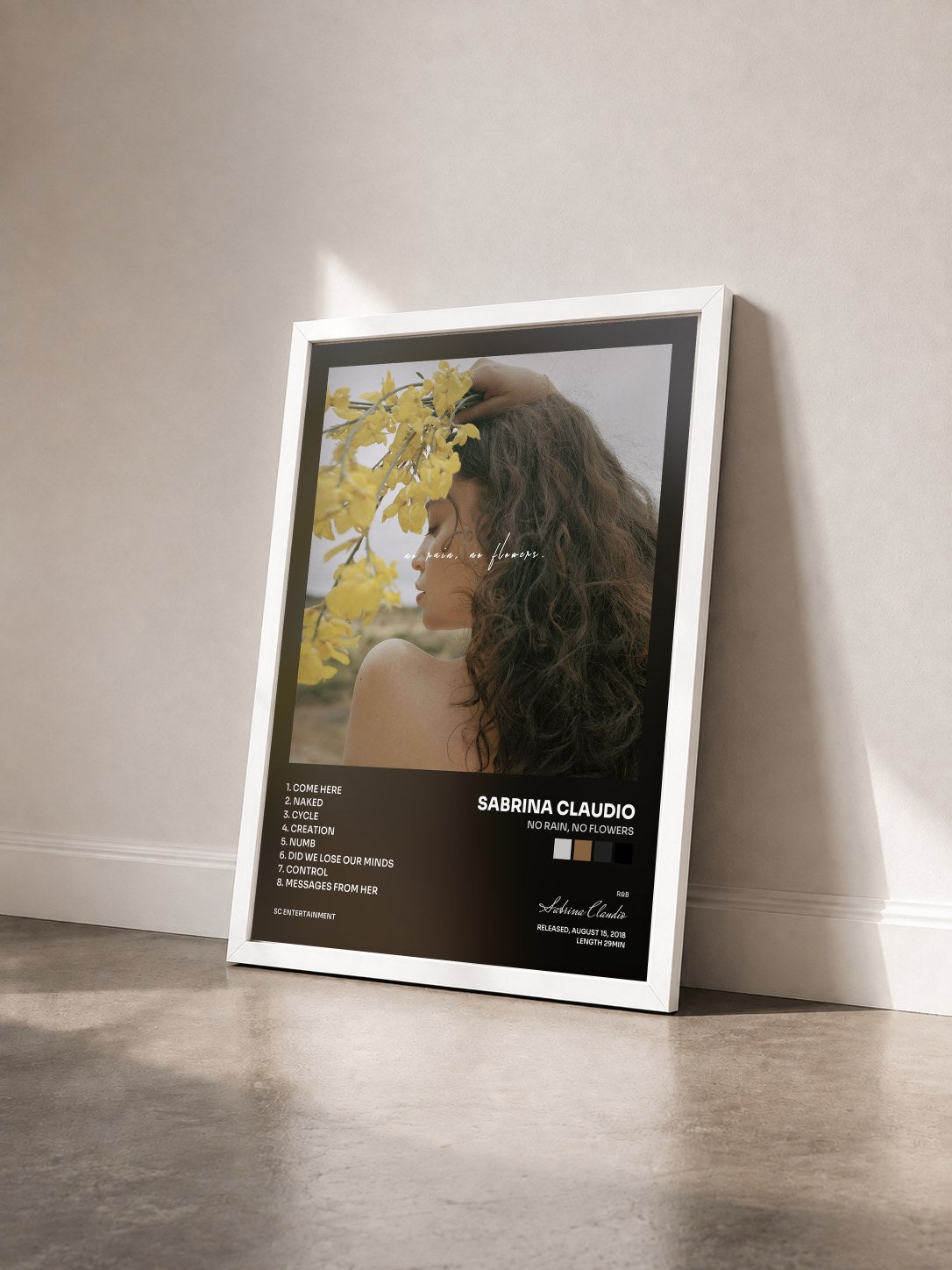 #blanc Tableau de l'album No Rain, No Flowers de Sabrina Claudio vu de trois quarts, cadre blanc