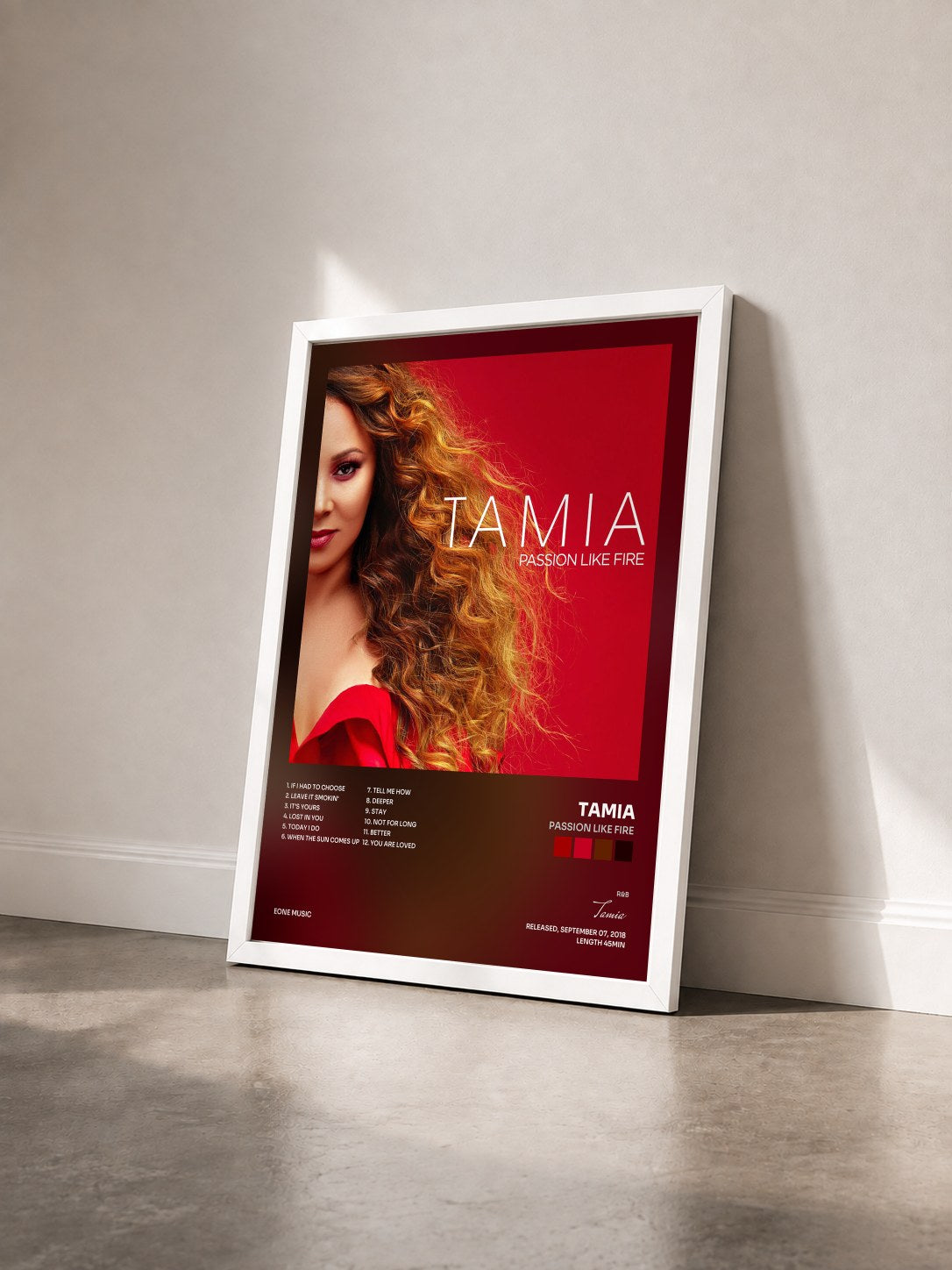 #blanc Tableau de l'album Passion Like Fire de Tamia vu de trois quarts, cadre blanc