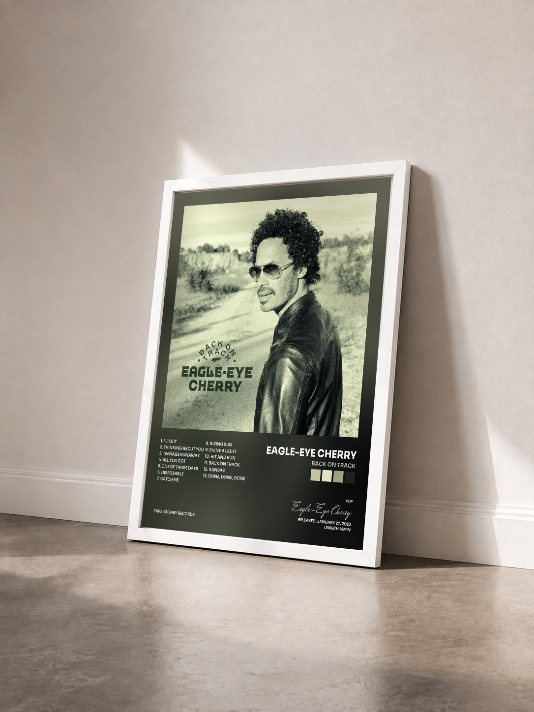 #blanc Tableau de l'album Back on Track de Eagle-Eye Cherry vu de trois quarts, cadre blanc