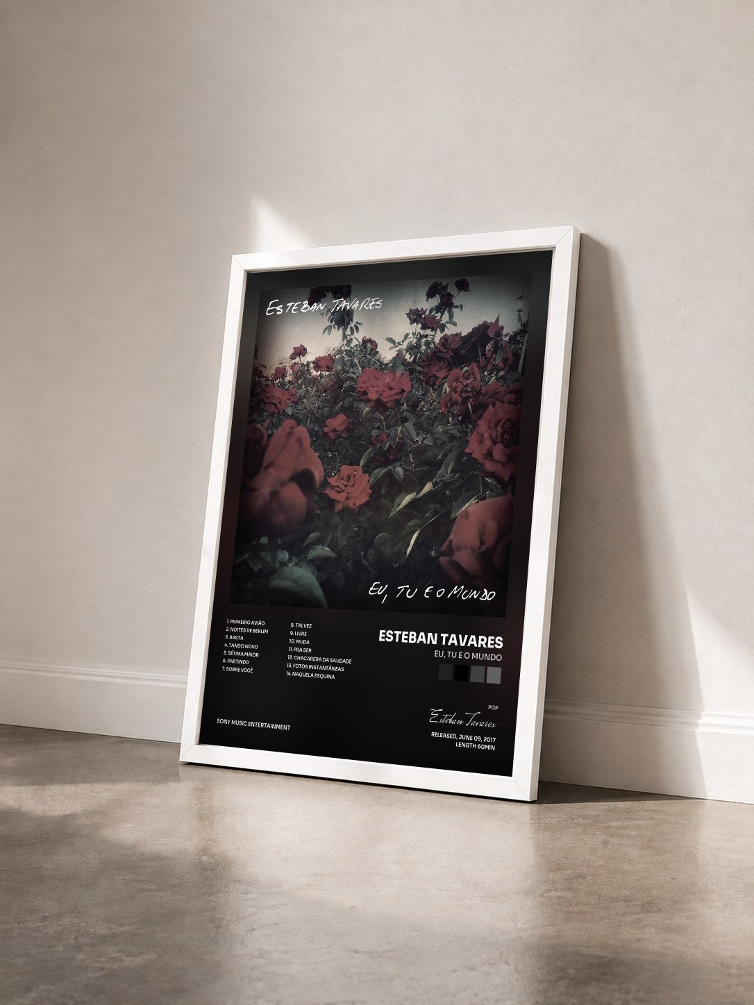 #blanc Tableau de l'album Eu, Tu e o Mundo de Esteban Tavares vu de trois quarts, cadre blanc