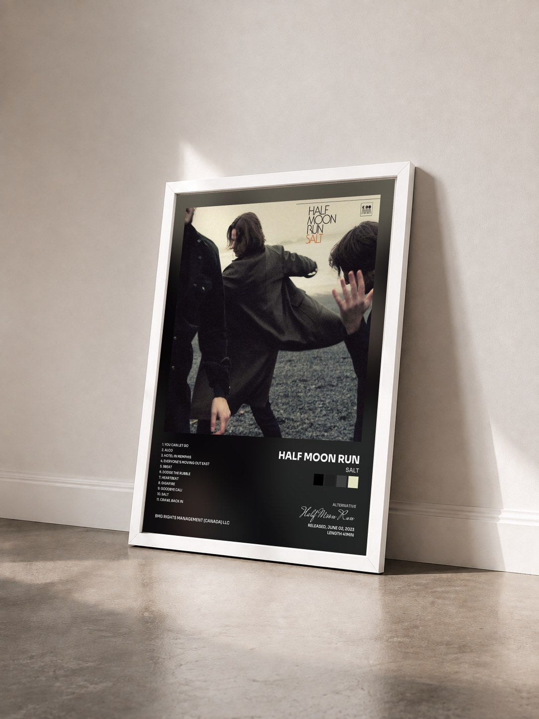 #blanc Tableau de l'album Salt de Half Moon Run vu de trois quarts, cadre blanc