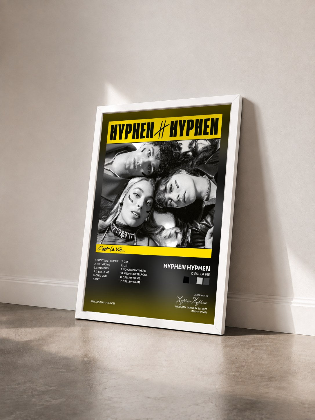 #blanc Tableau de l'album C'est La vie de Hyphen Hyphen vu de trois quarts, cadre blanc
