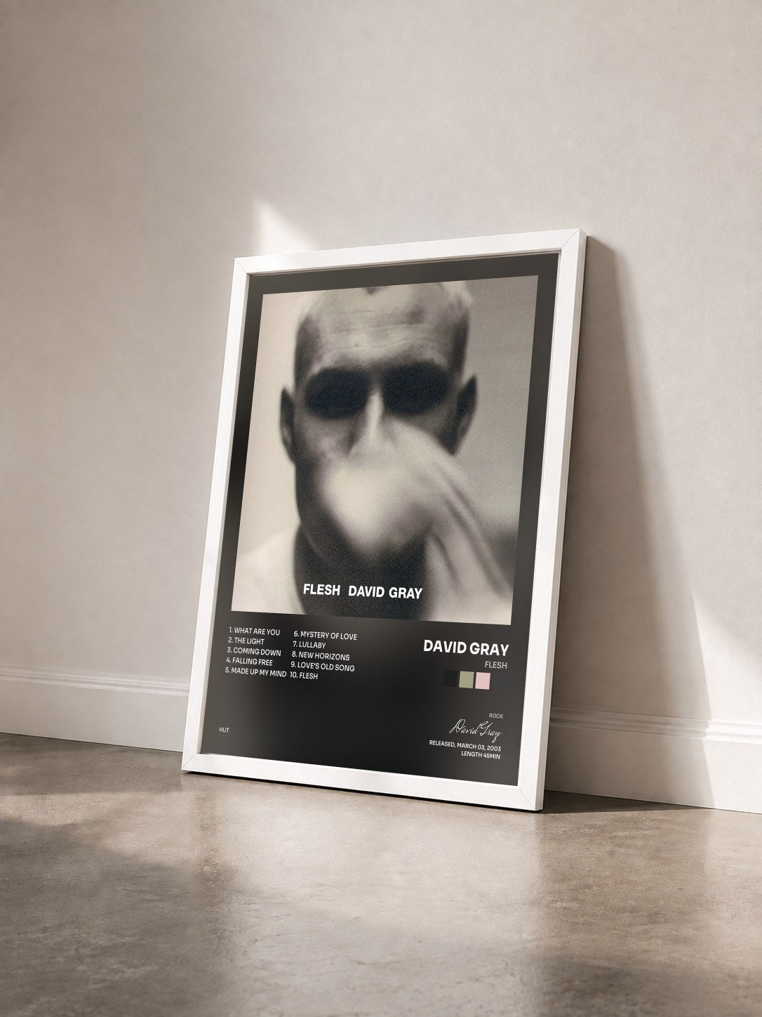 #blanc Tableau de l'album Flesh de David Gray vu de trois quarts, cadre blanc
