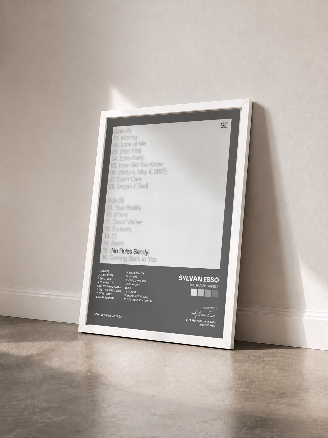 #blanc Tableau de l'album No Rules Sandy de Sylvan Esso vu de trois quarts, cadre blanc