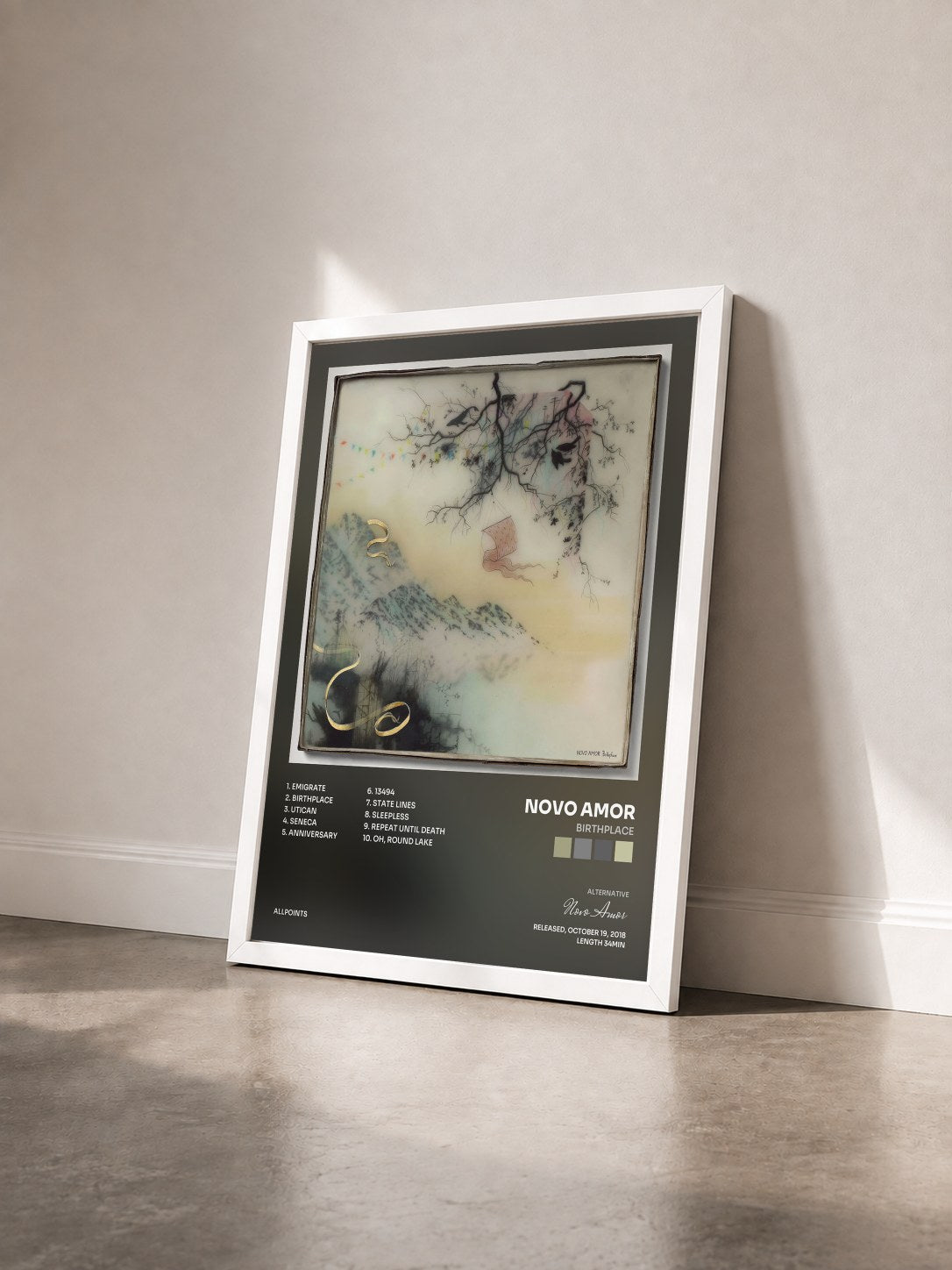 #blanc Tableau de l'album Birthplace de Novo Amor vu de trois quarts, cadre blanc