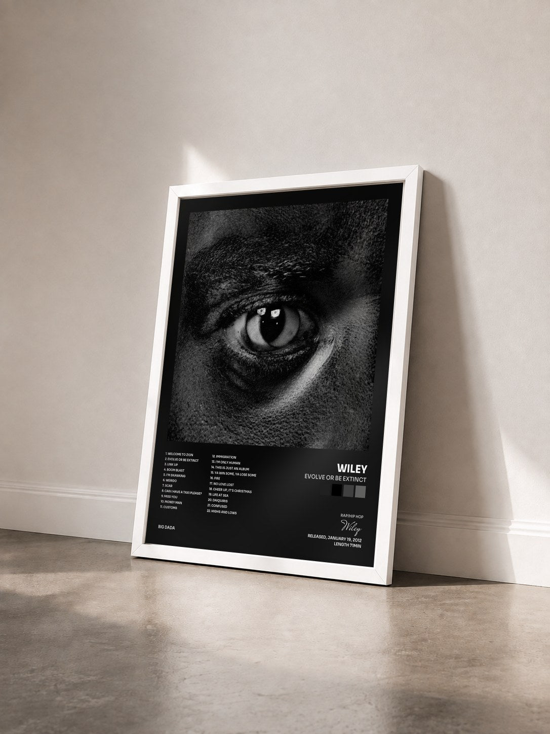 #blanc Tableau de l'album Evolve Or Be Extinct de Wiley vu de trois quarts, cadre blanc