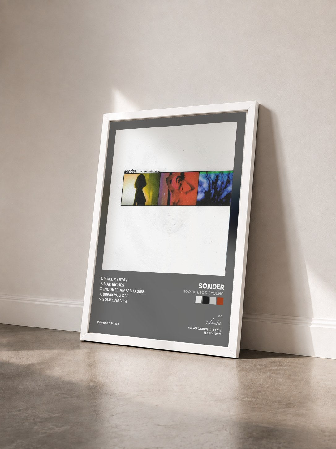 #blanc Tableau de l'album Too Late To Die Young de Sonder vu de trois quarts, cadre blanc