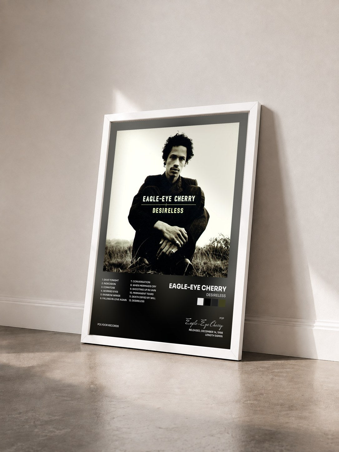 #blanc Tableau de l'album Desireless de Eagle-Eye Cherry vu de trois quarts, cadre blanc