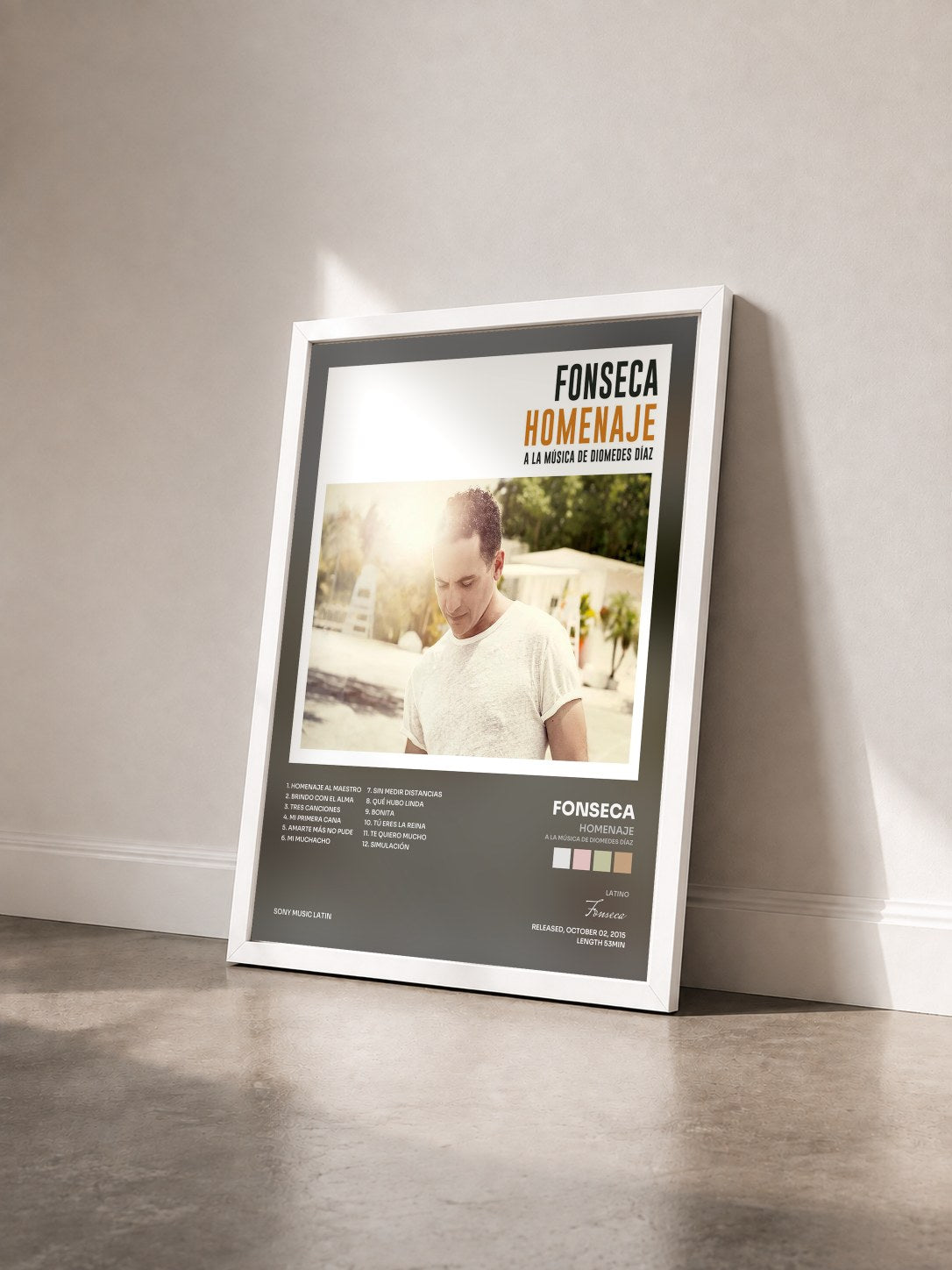 #blanc Tableau de l'album Homenaje (A la Música de Diomedes Díaz) de Fonseca vu de trois quarts, cadre blanc