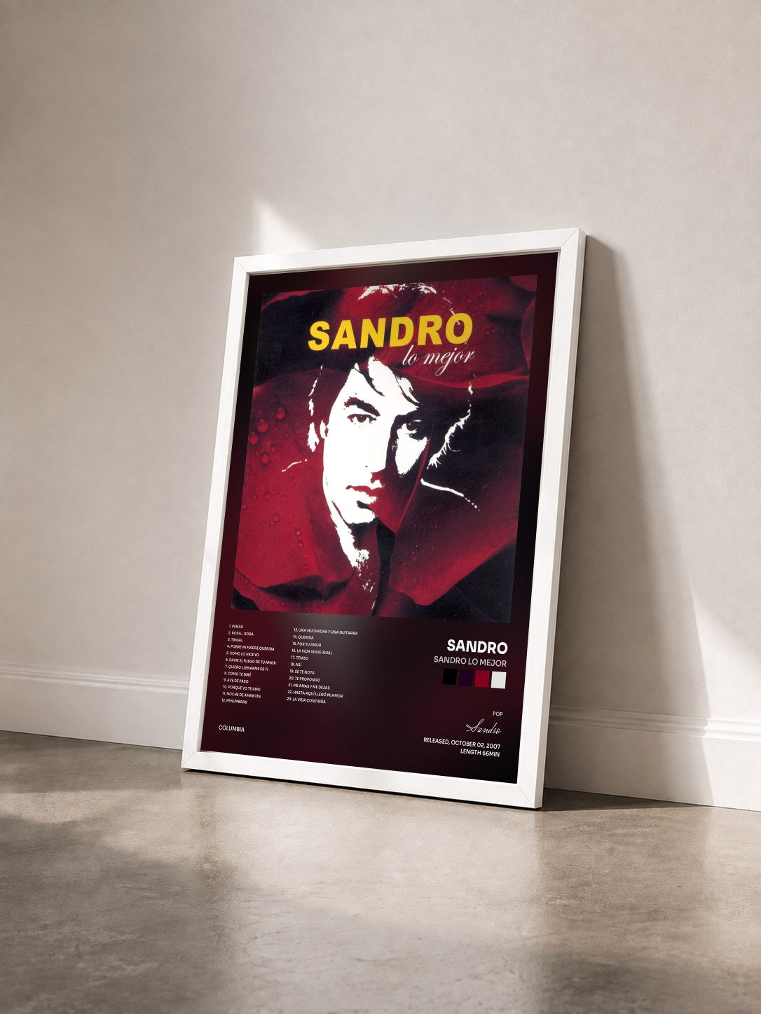 #blanc Tableau de l'album Sandro Lo Mejor de Sandro vu de trois quarts, cadre blanc