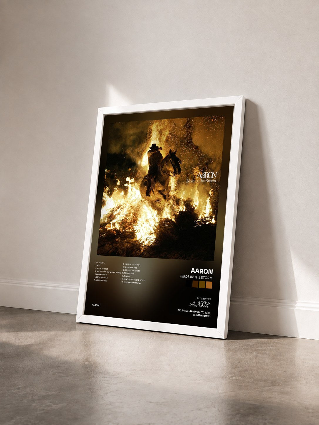 #blanc Tableau de l'album Birds in the Storm de AaRON vu de trois quarts, cadre blanc