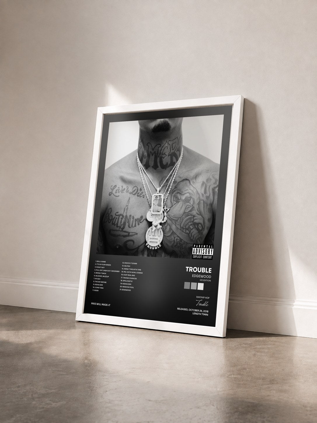 #blanc Tableau de l'album Edgewood (41E Edition) de Trouble vu de trois quarts, cadre blanc