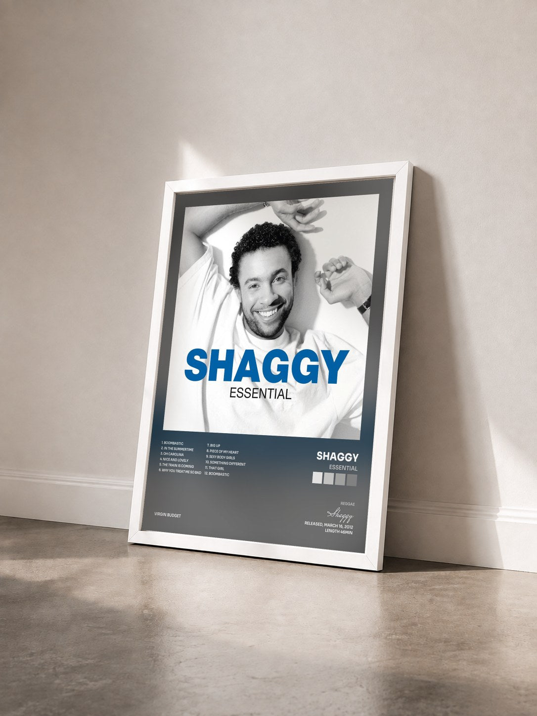 #blanc Tableau de l'album Essential de Shaggy vu de trois quarts, cadre blanc