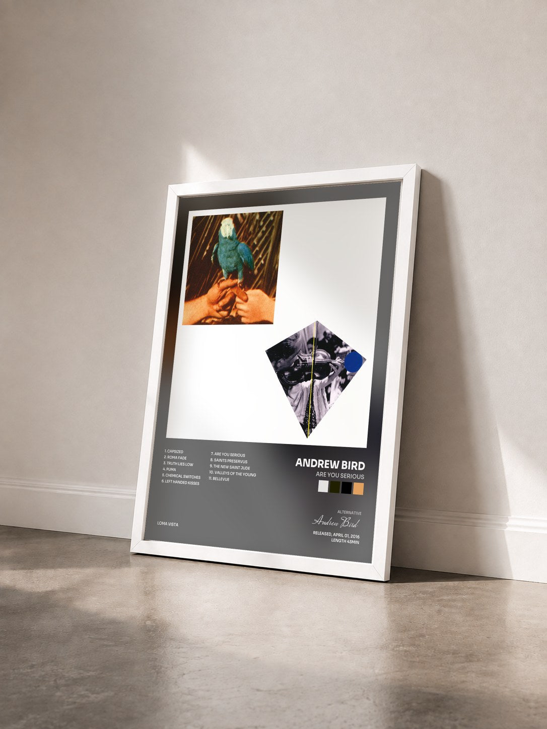 #blanc Tableau de l'album Are You Serious de Andrew Bird vu de trois quarts, cadre blanc