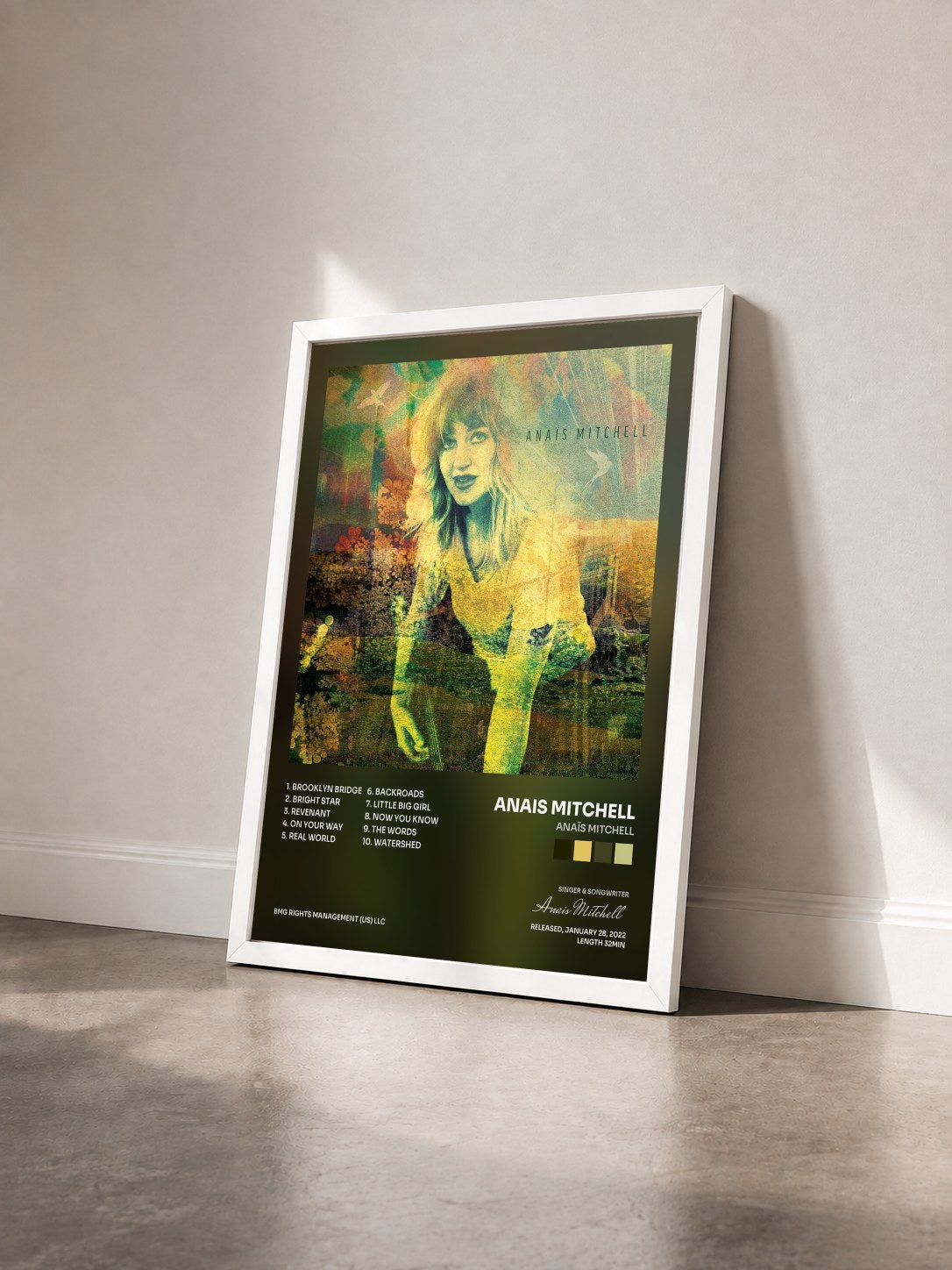 #blanc Tableau de l'album Anaïs Mitchell de Anais Mitchell vu de trois quarts, cadre blanc