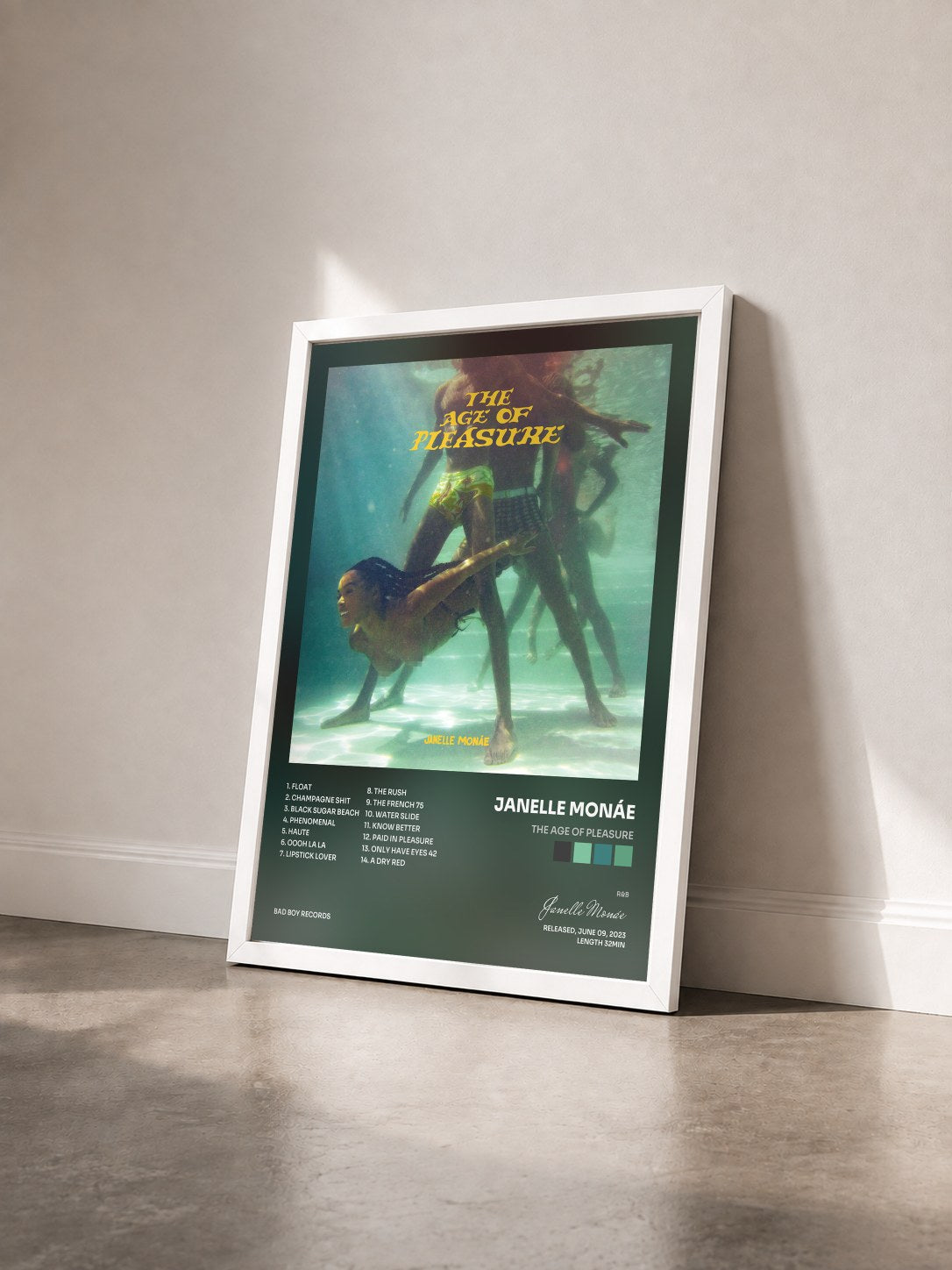 #blanc Tableau de l'album The Age of Pleasure de Janelle Monáe vu de trois quarts, cadre blanc