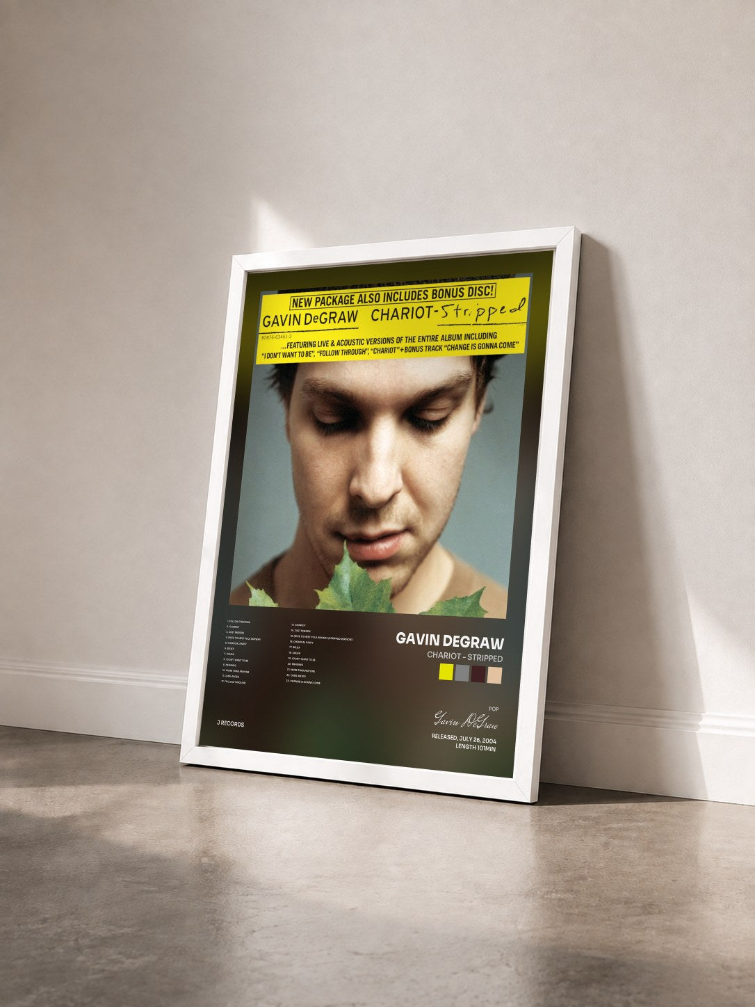 #blanc Tableau de l'album Chariot - Stripped de Gavin DeGraw vu de trois quarts, cadre blanc