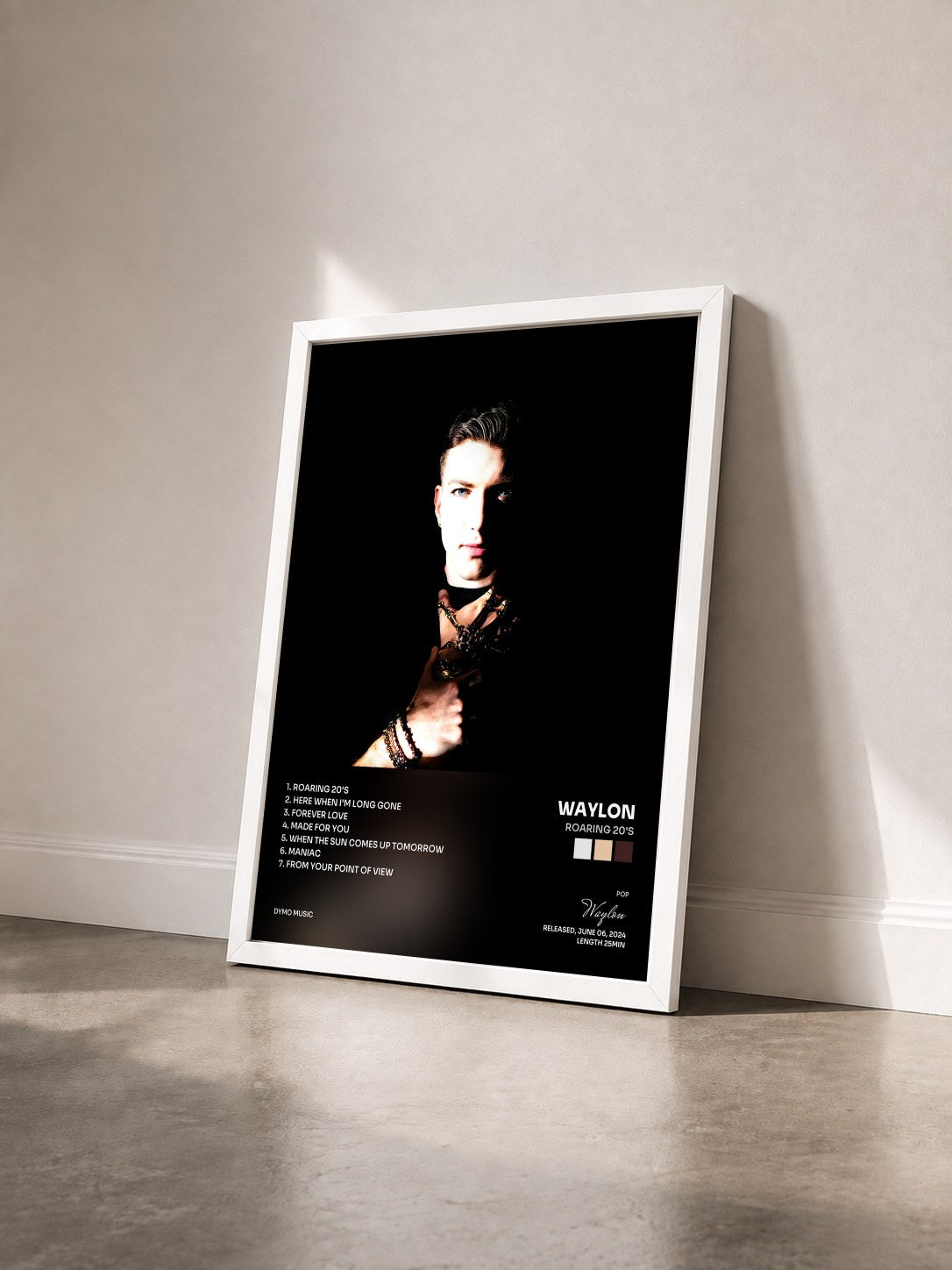 #blanc Tableau de l'album Roaring 20's de Waylon vu de trois quarts, cadre blanc