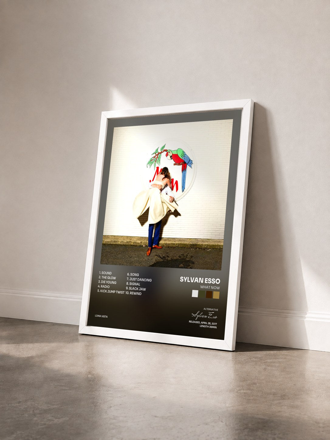 #blanc Tableau de l'album What Now de Sylvan Esso vu de trois quarts, cadre blanc