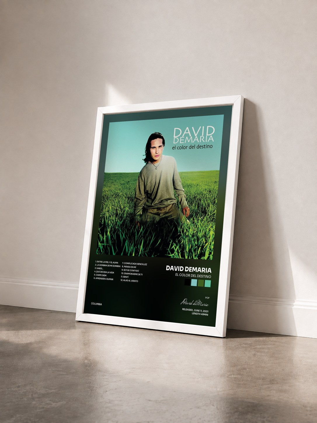 #blanc Tableau de l'album El Color Del Destino de David deMaria vu de trois quarts, cadre blanc