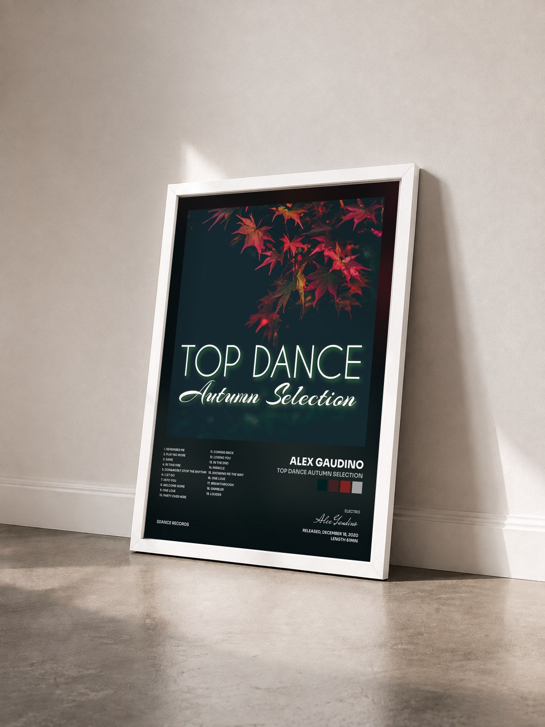 #blanc Tableau de l'album Top Dance Autumn Selection de Alex Gaudino vu de trois quarts, cadre blanc