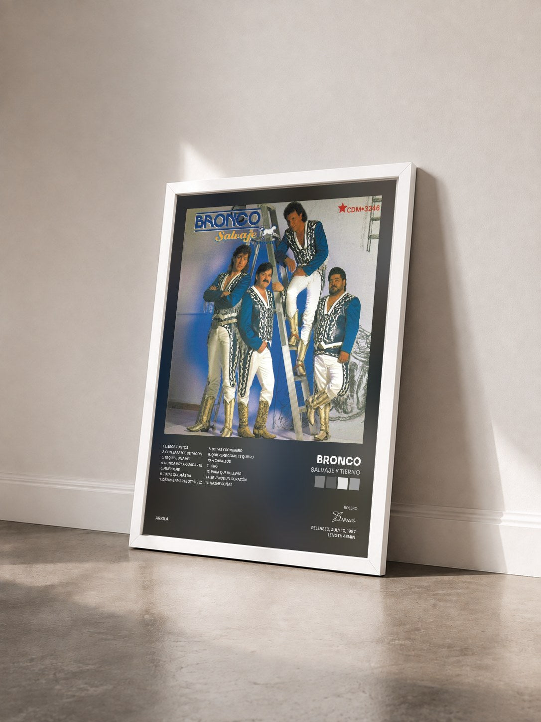 #blanc Tableau de l'album Salvaje y Tierno de Bronco vu de trois quarts, cadre blanc